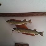 648406348_25971791579171988_2445504241228014218_n