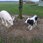 672672704_26411186435232498_7792679730782696936_n