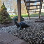 676483771_26456375510713590_7598644947191528546_n