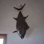 677612526_26456407890710352_5724700054199162314_n